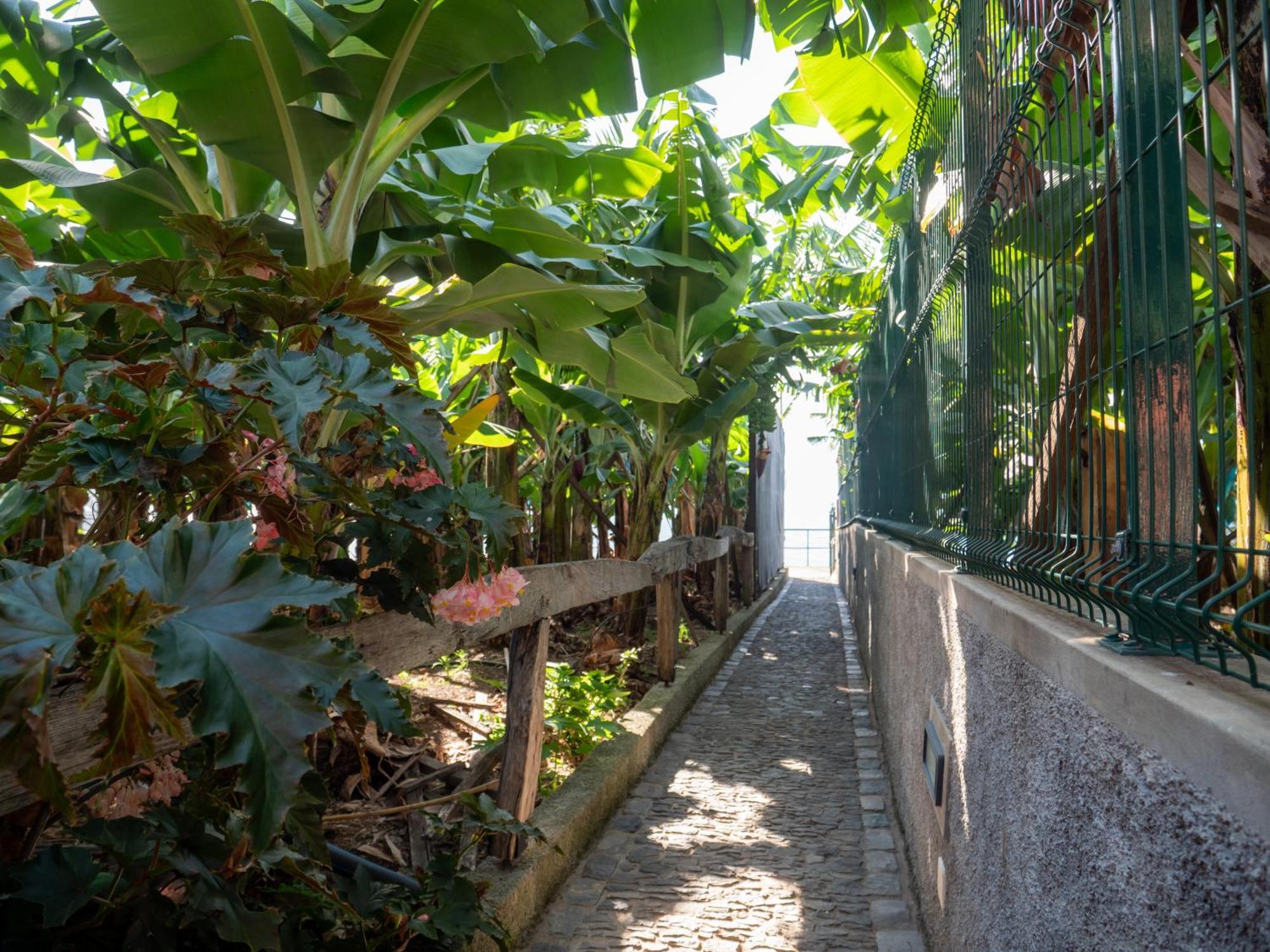 Villa Casa dos Anjos Ponta do Sol  Exterior foto